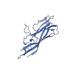 8975_6e39_AC_v2-1
Capsid protein of PCV2 with 2-O-sulfo-alpha-L-idopyranuronic acid and N,O6-DISULFO-GLUCOSAMINE