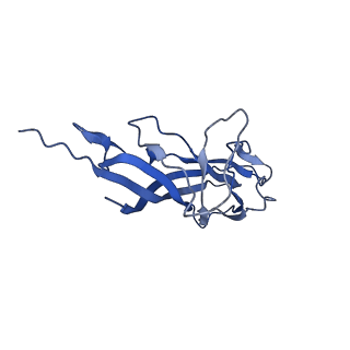 8975_6e39_AD_v1-2
Capsid protein of PCV2 with 2-O-sulfo-alpha-L-idopyranuronic acid and N,O6-DISULFO-GLUCOSAMINE