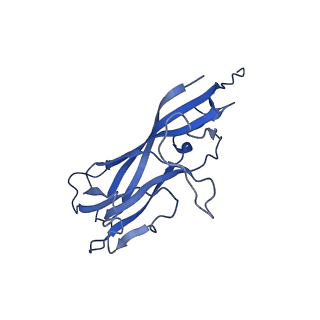 8975_6e39_AH_v2-1
Capsid protein of PCV2 with 2-O-sulfo-alpha-L-idopyranuronic acid and N,O6-DISULFO-GLUCOSAMINE