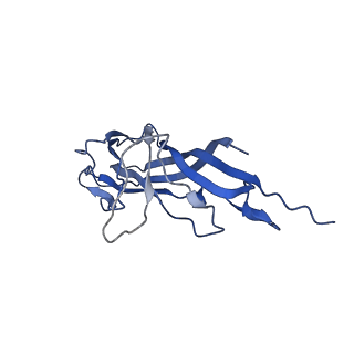 8975_6e39_AI_v1-2
Capsid protein of PCV2 with 2-O-sulfo-alpha-L-idopyranuronic acid and N,O6-DISULFO-GLUCOSAMINE