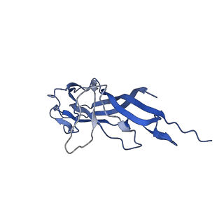 8975_6e39_AI_v2-1
Capsid protein of PCV2 with 2-O-sulfo-alpha-L-idopyranuronic acid and N,O6-DISULFO-GLUCOSAMINE