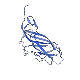 8975_6e39_AN_v1-2
Capsid protein of PCV2 with 2-O-sulfo-alpha-L-idopyranuronic acid and N,O6-DISULFO-GLUCOSAMINE