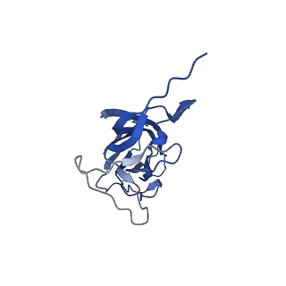 8975_6e39_AQ_v2-1
Capsid protein of PCV2 with 2-O-sulfo-alpha-L-idopyranuronic acid and N,O6-DISULFO-GLUCOSAMINE