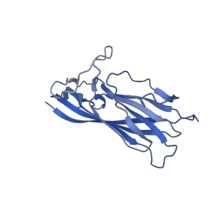 8975_6e39_AT_v2-0
Capsid protein of PCV2 with 2-O-sulfo-alpha-L-idopyranuronic acid and N,O6-DISULFO-GLUCOSAMINE