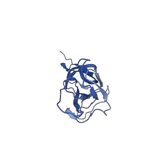 8975_6e39_AV_v2-1
Capsid protein of PCV2 with 2-O-sulfo-alpha-L-idopyranuronic acid and N,O6-DISULFO-GLUCOSAMINE