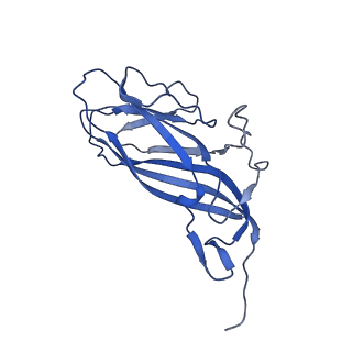 8975_6e39_AX_v1-2
Capsid protein of PCV2 with 2-O-sulfo-alpha-L-idopyranuronic acid and N,O6-DISULFO-GLUCOSAMINE