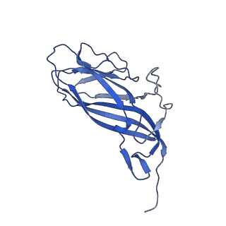 8975_6e39_AX_v2-1
Capsid protein of PCV2 with 2-O-sulfo-alpha-L-idopyranuronic acid and N,O6-DISULFO-GLUCOSAMINE