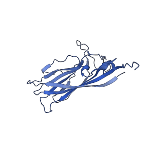 8975_6e39_AY_v2-1
Capsid protein of PCV2 with 2-O-sulfo-alpha-L-idopyranuronic acid and N,O6-DISULFO-GLUCOSAMINE