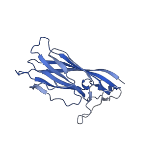 8975_6e39_Ad_v1-2
Capsid protein of PCV2 with 2-O-sulfo-alpha-L-idopyranuronic acid and N,O6-DISULFO-GLUCOSAMINE