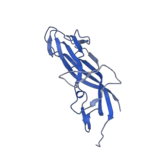 8975_6e39_Ae_v1-2
Capsid protein of PCV2 with 2-O-sulfo-alpha-L-idopyranuronic acid and N,O6-DISULFO-GLUCOSAMINE