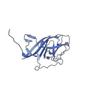 8975_6e39_Ag_v1-2
Capsid protein of PCV2 with 2-O-sulfo-alpha-L-idopyranuronic acid and N,O6-DISULFO-GLUCOSAMINE