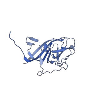 8975_6e39_Ag_v2-1
Capsid protein of PCV2 with 2-O-sulfo-alpha-L-idopyranuronic acid and N,O6-DISULFO-GLUCOSAMINE