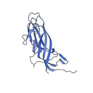 8975_6e39_Ai_v1-2
Capsid protein of PCV2 with 2-O-sulfo-alpha-L-idopyranuronic acid and N,O6-DISULFO-GLUCOSAMINE