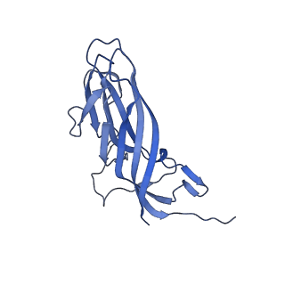 8975_6e39_Ai_v2-0
Capsid protein of PCV2 with 2-O-sulfo-alpha-L-idopyranuronic acid and N,O6-DISULFO-GLUCOSAMINE