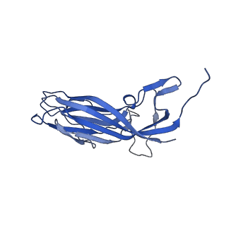 8975_6e39_Ak_v2-1
Capsid protein of PCV2 with 2-O-sulfo-alpha-L-idopyranuronic acid and N,O6-DISULFO-GLUCOSAMINE