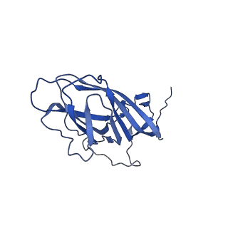 8975_6e39_Al_v1-2
Capsid protein of PCV2 with 2-O-sulfo-alpha-L-idopyranuronic acid and N,O6-DISULFO-GLUCOSAMINE