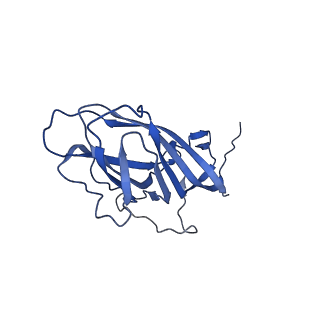 8975_6e39_Al_v2-1
Capsid protein of PCV2 with 2-O-sulfo-alpha-L-idopyranuronic acid and N,O6-DISULFO-GLUCOSAMINE