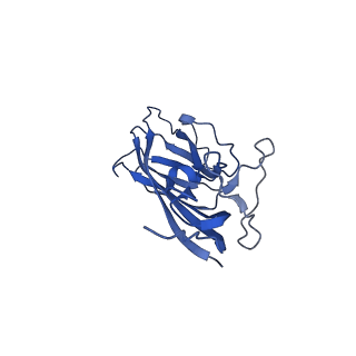 8975_6e39_Ao_v2-0
Capsid protein of PCV2 with 2-O-sulfo-alpha-L-idopyranuronic acid and N,O6-DISULFO-GLUCOSAMINE