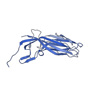 8975_6e39_Ap_v1-2
Capsid protein of PCV2 with 2-O-sulfo-alpha-L-idopyranuronic acid and N,O6-DISULFO-GLUCOSAMINE