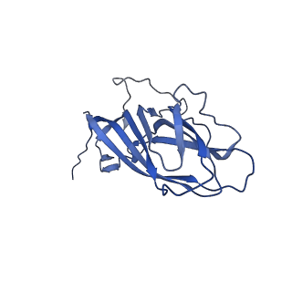 8975_6e39_Aq_v1-2
Capsid protein of PCV2 with 2-O-sulfo-alpha-L-idopyranuronic acid and N,O6-DISULFO-GLUCOSAMINE