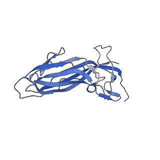 8975_6e39_Au_v1-2
Capsid protein of PCV2 with 2-O-sulfo-alpha-L-idopyranuronic acid and N,O6-DISULFO-GLUCOSAMINE