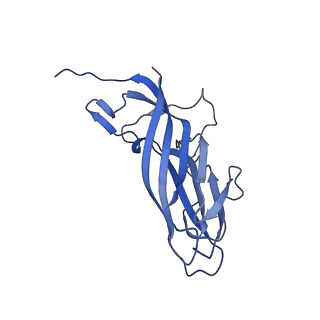 8975_6e39_Ax_v1-2
Capsid protein of PCV2 with 2-O-sulfo-alpha-L-idopyranuronic acid and N,O6-DISULFO-GLUCOSAMINE
