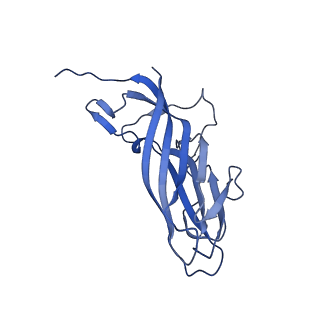 8975_6e39_Ax_v2-0
Capsid protein of PCV2 with 2-O-sulfo-alpha-L-idopyranuronic acid and N,O6-DISULFO-GLUCOSAMINE