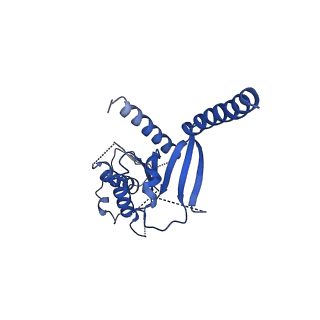 8978_6e3y_A_v1-3
Cryo-EM structure of the active, Gs-protein complexed, human CGRP receptor