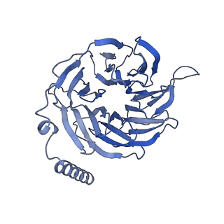 8978_6e3y_B_v1-3
Cryo-EM structure of the active, Gs-protein complexed, human CGRP receptor