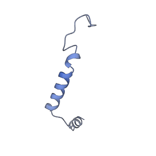 8978_6e3y_G_v1-3
Cryo-EM structure of the active, Gs-protein complexed, human CGRP receptor