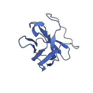 8978_6e3y_N_v1-3
Cryo-EM structure of the active, Gs-protein complexed, human CGRP receptor