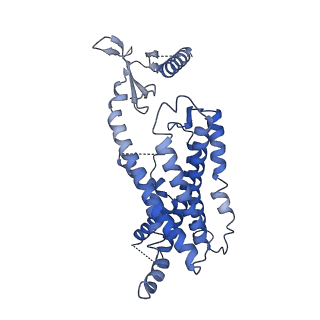 8978_6e3y_R_v1-3
Cryo-EM structure of the active, Gs-protein complexed, human CGRP receptor