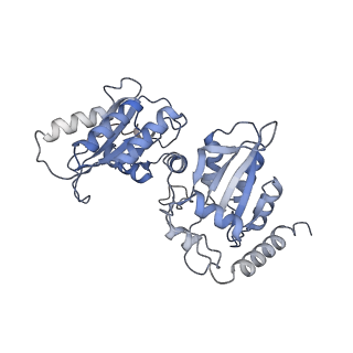 27875_8e40_A_v1-0
Full-length APOBEC3G in complex with HIV-1 Vif, CBF-beta, and fork RNA