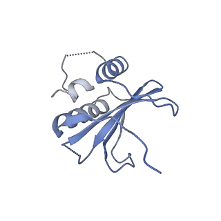 27875_8e40_B_v1-0
Full-length APOBEC3G in complex with HIV-1 Vif, CBF-beta, and fork RNA