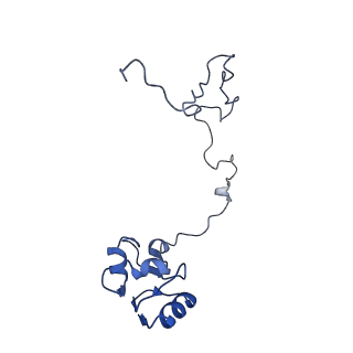 27879_8e44_L_v1-0
E. coli 50S ribosome bound to antibiotic analog SLC09
