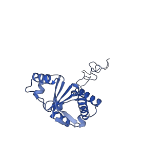 27879_8e44_M_v1-0
E. coli 50S ribosome bound to antibiotic analog SLC09