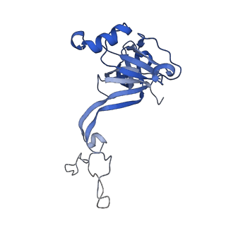 27879_8e44_N_v1-0
E. coli 50S ribosome bound to antibiotic analog SLC09