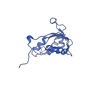 27879_8e44_O_v1-0
E. coli 50S ribosome bound to antibiotic analog SLC09