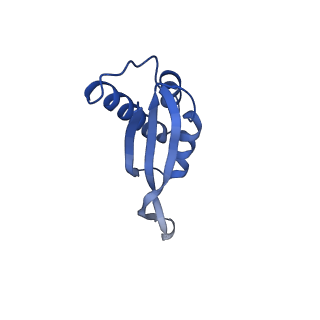 27879_8e44_P_v1-0
E. coli 50S ribosome bound to antibiotic analog SLC09