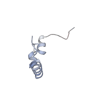 27879_8e44_R_v1-0
E. coli 50S ribosome bound to antibiotic analog SLC09