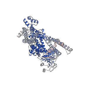 27893_8e4n_B_v1-0
The closed C1-state mouse TRPM8 structure in complex with PI(4,5)P2