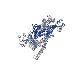 27893_8e4n_C_v1-0
The closed C1-state mouse TRPM8 structure in complex with PI(4,5)P2