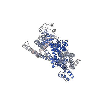 27893_8e4n_D_v1-0
The closed C1-state mouse TRPM8 structure in complex with PI(4,5)P2