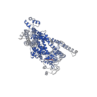 27894_8e4o_B_v1-0
The closed C1-state mouse TRPM8 structure in complex with putative PI(4,5)P2