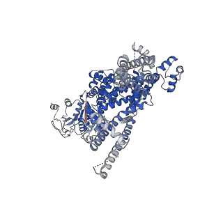 27894_8e4o_C_v1-0
The closed C1-state mouse TRPM8 structure in complex with putative PI(4,5)P2