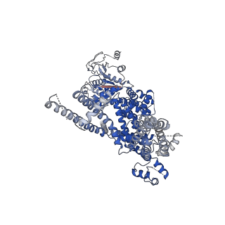 27894_8e4o_D_v1-0
The closed C1-state mouse TRPM8 structure in complex with putative PI(4,5)P2