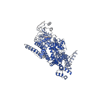 27895_8e4p_A_v1-0
Mouse TRPM8 structure determined in the ligand- and PI(4,5)P2-free condition, Class I , C0 state