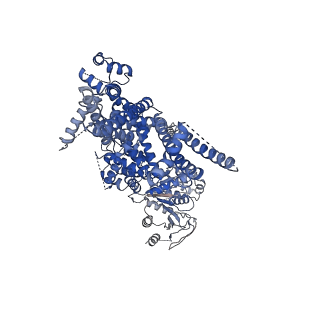 27895_8e4p_C_v1-0
Mouse TRPM8 structure determined in the ligand- and PI(4,5)P2-free condition, Class I , C0 state