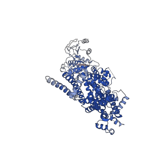 27896_8e4q_A_v1-0
The closed C0-state flycatcher TRPM8 structure in complex with PI(4,5)P2