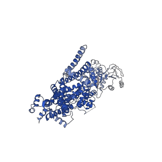 27896_8e4q_B_v1-0
The closed C0-state flycatcher TRPM8 structure in complex with PI(4,5)P2